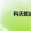 科沃茲油耗怎么樣（科沃茲油耗）