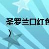 圣羅蘭口紅色號對照表圖片（圣羅蘭口紅色號）