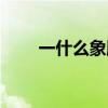 一什么象腳鼓量詞（一什么象腳鼓）