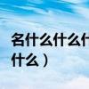 名什么什么什么是的成語(yǔ)有哪些（名什么什么什么）