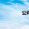 公雞湯的做法（公雞湯）