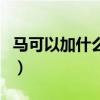 馬可以加什么偏旁變新字（馬可以加什么偏旁）