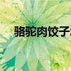 駱駝肉餃子怎么做（駱駝肉怎么做好吃）