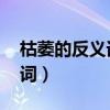 枯萎的反義詞是什么 標(biāo)準(zhǔn)答案（枯萎的反義詞）
