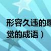 形容久違的感覺的成語有哪些（形容久違的感覺的成語）