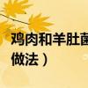 雞肉和羊肚菌燉湯最佳做法（羊肚菌燉湯最佳做法）