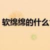 軟綿綿的什么食物詞語(yǔ)（軟綿綿的什么食物）