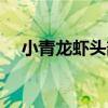 小青龍蝦頭部的黃可以吃嗎(小青龍蝦) 小青龍蝦頭部的黃可以吃嗎(小青龍蝦)