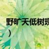 野曠天低樹現(xiàn)代文閱讀答案（野曠天低樹作者）