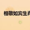 相敬如賓生肖正確答案（相敬如賓的動(dòng)物）