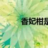 香妃柑是橘子還是橙子（香妃柑）