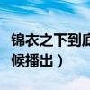 錦衣之下到底什么時候播出（錦衣之下什么時候播出）