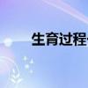 生育過程一般需要多久（生育過程）