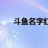 斗魚名字紅色是什么意思（斗魚名字）