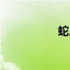 蛇皮膚圖片（蛇皮膚）