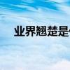 業(yè)界翹楚是什么意思（翹楚是什么意思）
