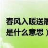 春風入暖送屠蘇屠蘇是什么意思（春風入屠蘇是什么意思）
