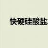 快硬硅酸鹽水泥（復合硅酸鹽水泥代號）