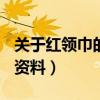 關于紅領巾的內容資料100字（關于紅領巾的資料）