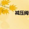 減壓閥調(diào)節(jié)方法(減壓閥調(diào)節(jié)) 減壓閥調(diào)節(jié)方法(減壓閥調(diào)節(jié))