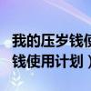 我的壓歲錢使用計劃怎么寫一年級（我的壓歲錢使用計劃）