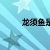 龍須魚是海魚還是淡水（龍須魚）