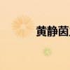 黃靜茵主演的電視?。S靜茵）