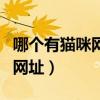 哪個有貓咪網站的網址啊（哪個有貓咪網站的網址）