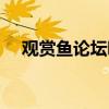 觀賞魚論壇哪個好（最大的觀賞魚論壇）