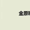 金原瞳 小說 英文（金原瞳）