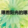 曝著陽光的曝怎么讀（曝著陽光中曝的讀法）