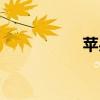 蘋(píng)果表情包（蘋(píng)果婊）