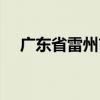 廣東省雷州市簡介（雷州市屬于哪個市）