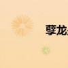 孽龍是什么龍（孽龍?jiān)谔欤? title=