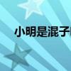 小明是混子嗎(小明是一個很混的小孩) 小明是混子嗎(小明是一個很混的小孩)