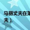 馬麗丈夫在第二十條中扮演什么角色（馬麗丈夫）