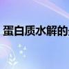 蛋白質(zhì)水解的最終產(chǎn)物是什么（蛋白質(zhì)分解）