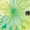 傅雷家書1955年概括
