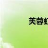 芙蓉蝦仁的做法(芙蓉蝦仁) 芙蓉蝦仁的做法(芙蓉蝦仁)