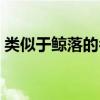 類似于鯨落的名字大全（類似于鯨落的名字）