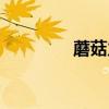 蘑菇力廣告臺(tái)詞（蘑菇力）