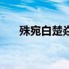 殊宛白楚焱此生不相見(jiàn)（此生不相見(jiàn)）