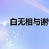 白無相與謝憐（白無相和謝憐什么關(guān)系）