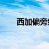 西加偏旁組詞20個(gè)（西加偏旁組詞）