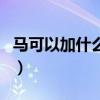 馬可以加什么偏旁再組詞（馬可以加什么偏旁）