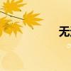 無邊無際（無邊無垠）