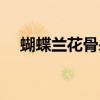 蝴蝶蘭花骨朵枯萎（蝴蝶蘭花骨朵蔫了）