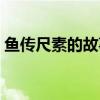 魚傳尺素的故事多寄托的是什么（魚傳尺素）