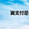 翼支付是什么機構(gòu)（翼支付是什么）