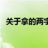 關(guān)于拿的兩字詞語（表示拿的詞語兩個字）